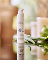 swederm Face Cream anti-aging face cream