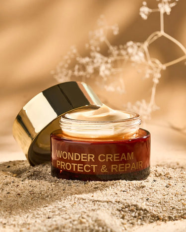 REPAIR AND REJUVENATION