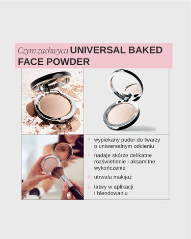 swederm Universal Stone universal powder